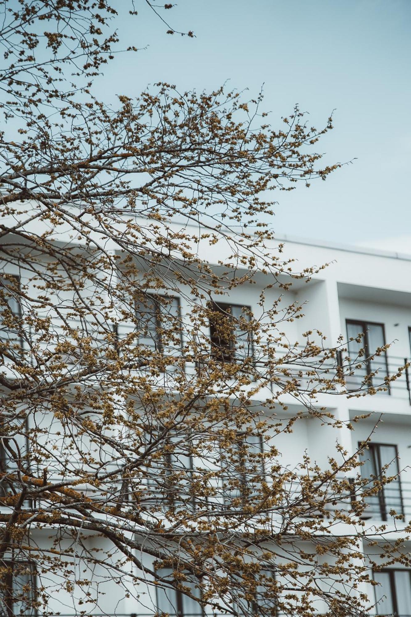 Oe Seaside Suites & Spa Kuressaare Exteriör bild